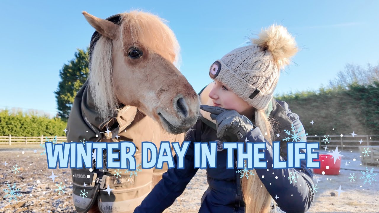 EQUESTRIAN WINTER DAY IN THE LIFE!