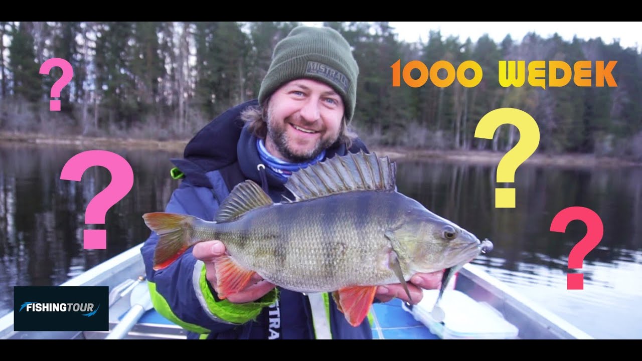Bysjon Majówka Niespodzianek