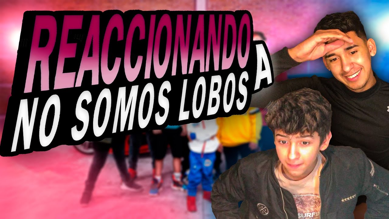 NO SOMOS LOBOS reacción  //  Los Bruders