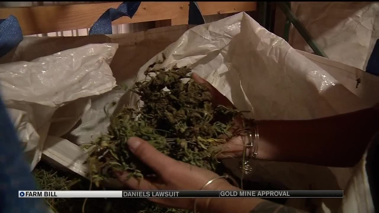 $827B Farm Bill passes Senate, paving way for fully-legal industrial hemp production