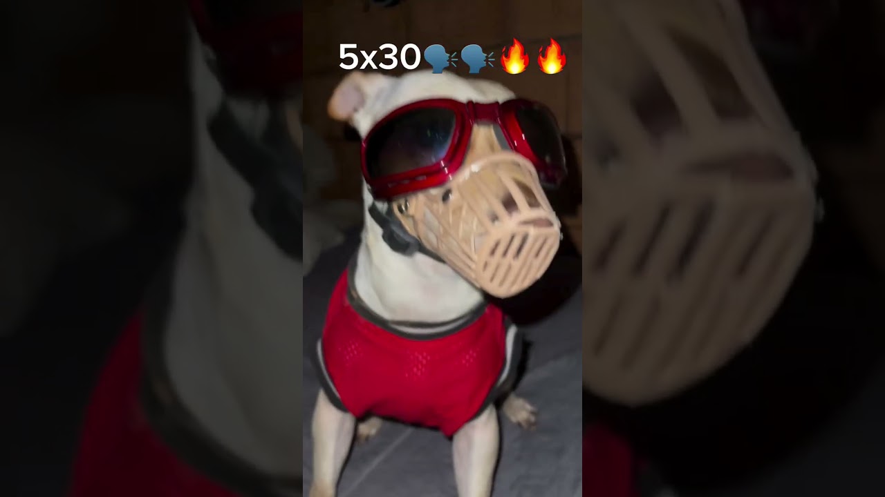 5x30 🗣️🗣️ #phonk #tiktok #hitbeats #5x30