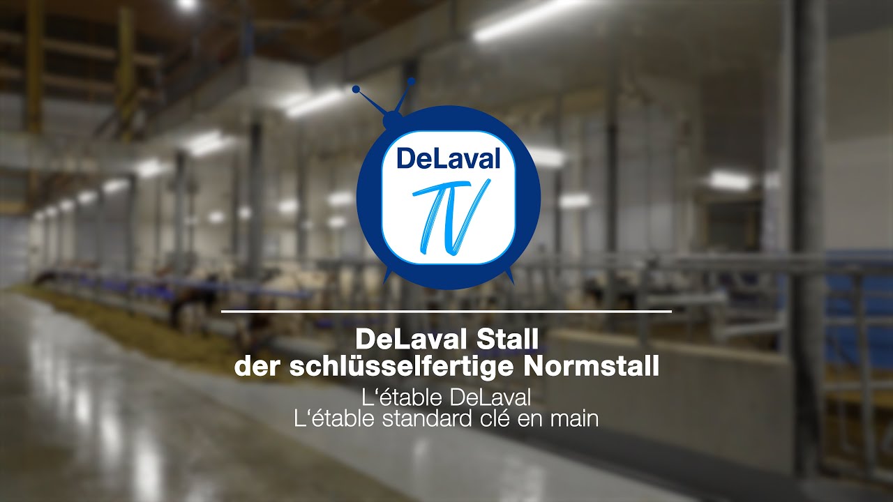 DeLaval TV: Der schlüsselfertige Normstall -  L‘étable DeLavalL‘étable standard clé en main