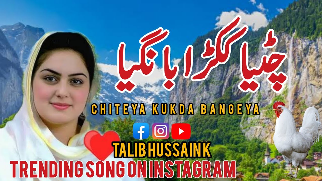 Chiteya Kukda Bangiya | Trending Song On Instagram|Pahari Song | Gojri Pahari Song | Talib Hussain K
