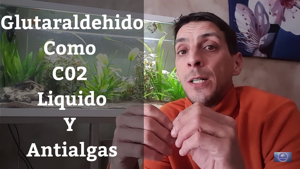 🔵 Glutaraldehido Para Acuario Como Co2 Liquido Y Antialgas,  Acuario Plantado 1x19 (Acuarios MB)
