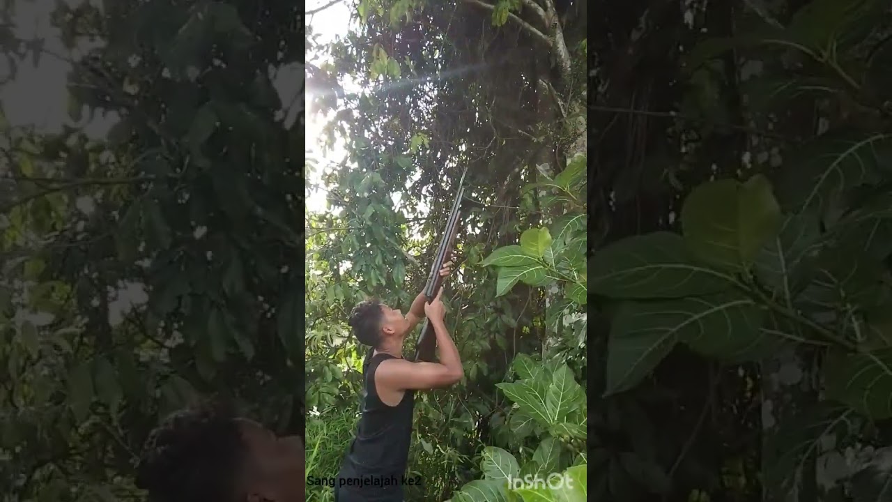 Berburu biawak air tawar yang meresahkan ternak warga 