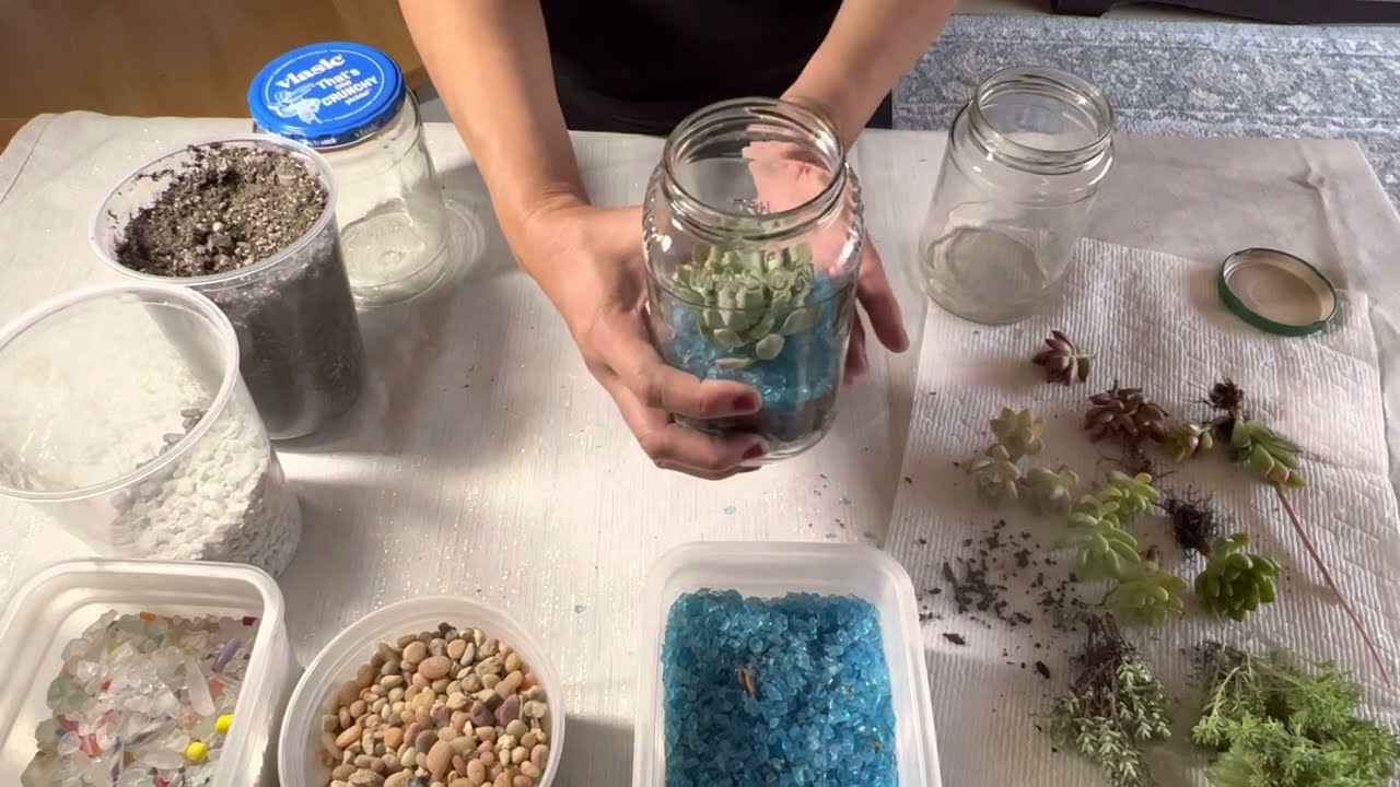 Part I:  Transform your recycled containers for succulent terrariums! 😍👍👌🆒💐