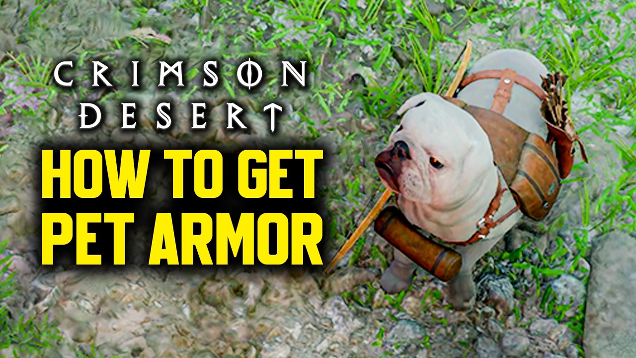 Crimson Desert - How to get Pet Armor & Find Pet Shop Early