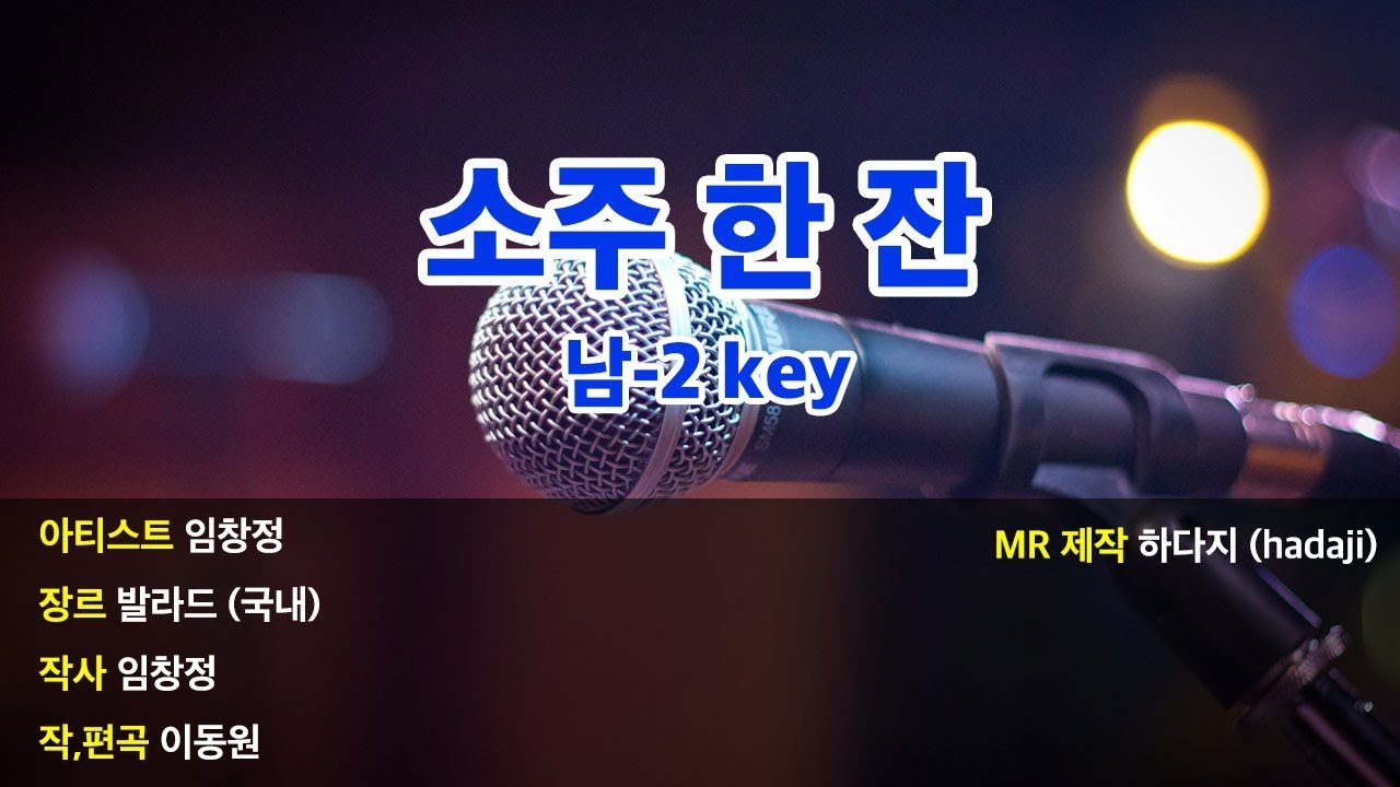 [노래방] 임창정 - 소주한잔 MR (남-2key)