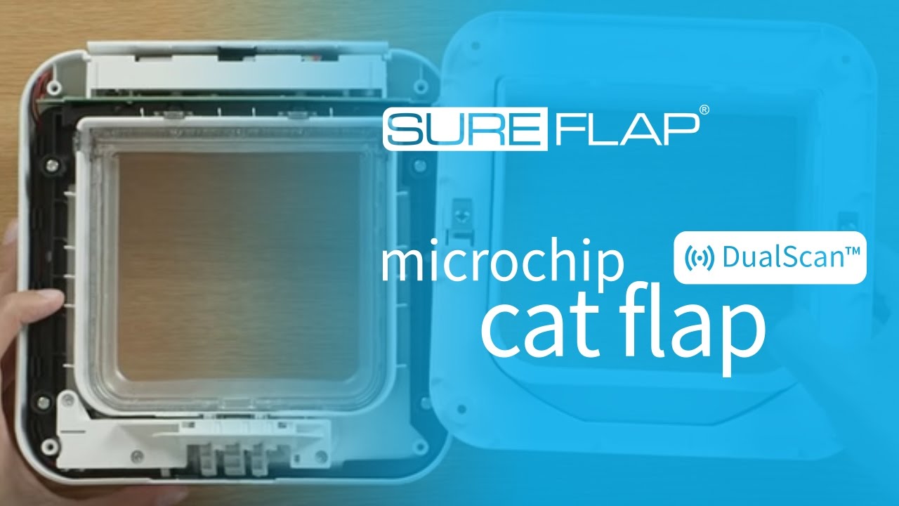 Replacing the door on your SureFlap DualScan Microchip Cat Flap
