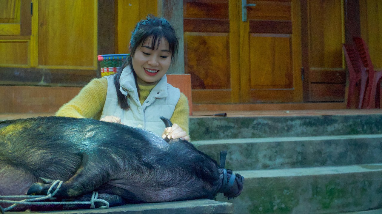 Off-Grid Island Life: Butchering Pork and Preserving Meat Over the Fire