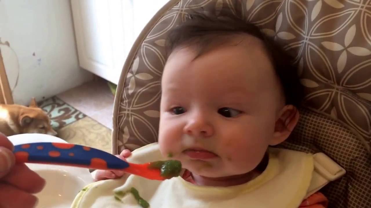 First time with solid food. Do you like green beans?