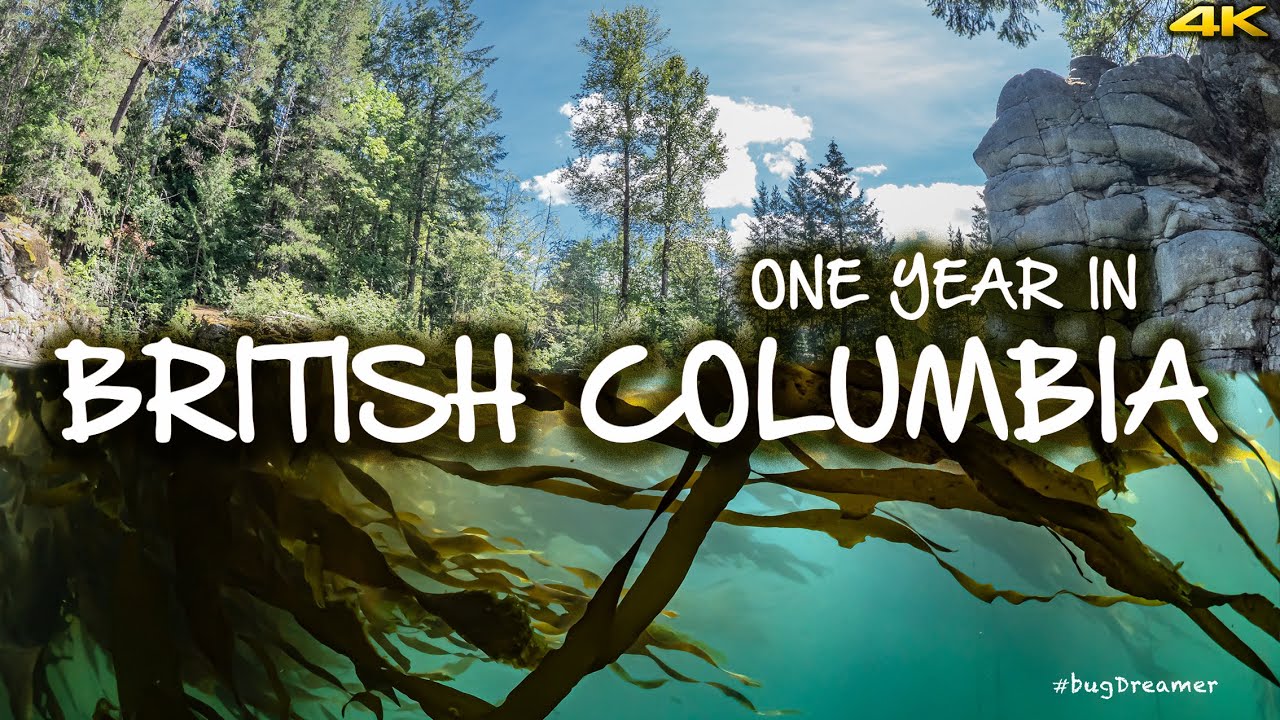 ONE YEAR IN BRITISH COLUMBIA 🇨🇦 Drone, Scuba, Underwater Macro Photography, Wildlife Filmmaking 4K