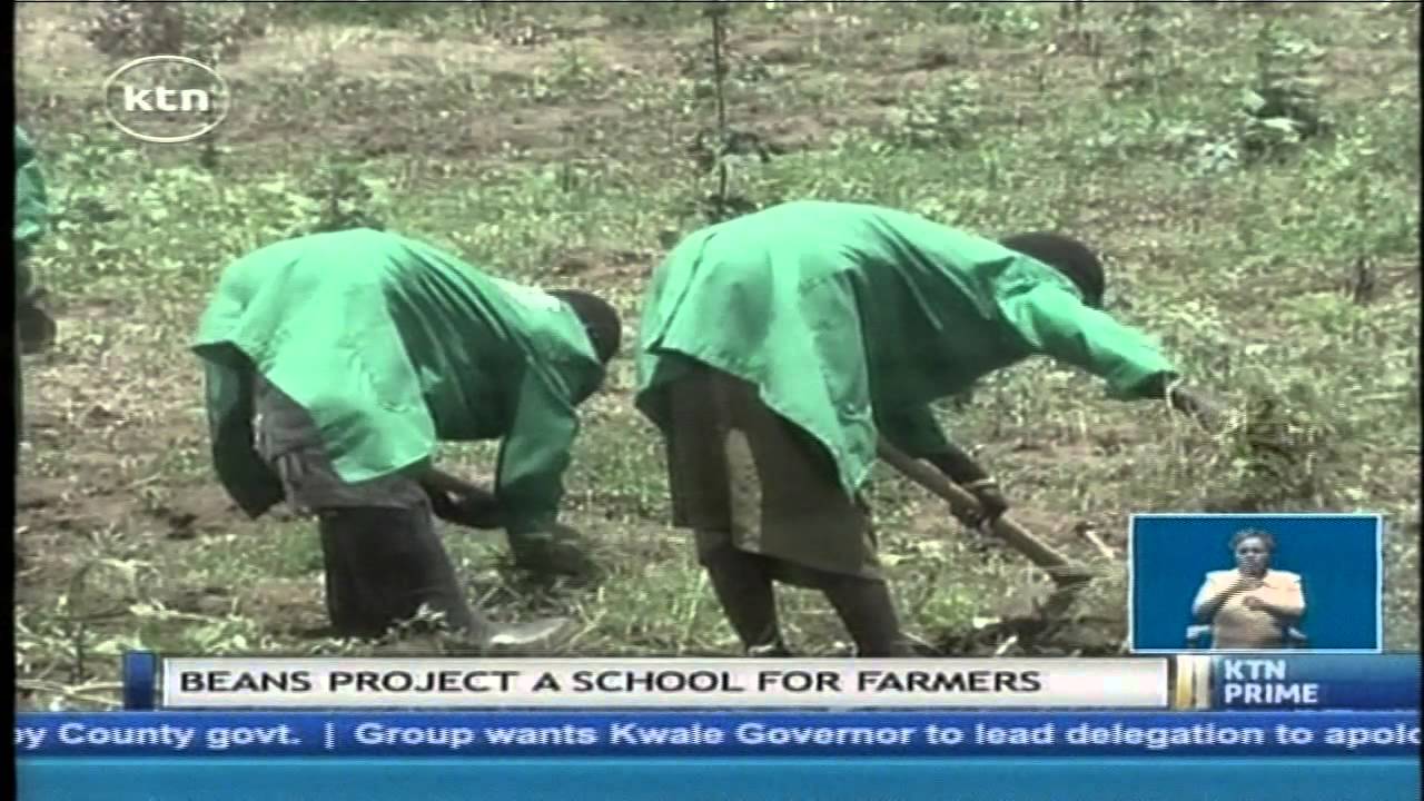 Why residents in Siaya County have adapted a system of farming considered taboo in Nyanza