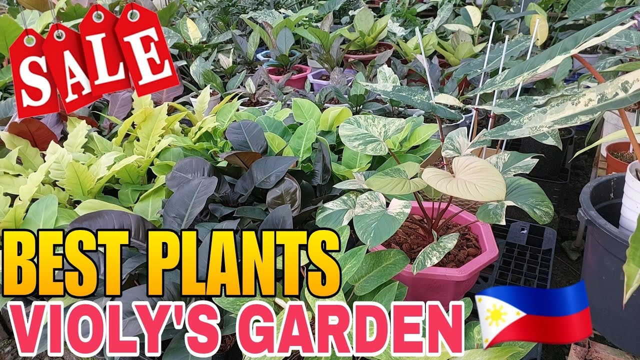 GARDEN TOUR || SALE NA DAW! VIOLY'S GARDEN 