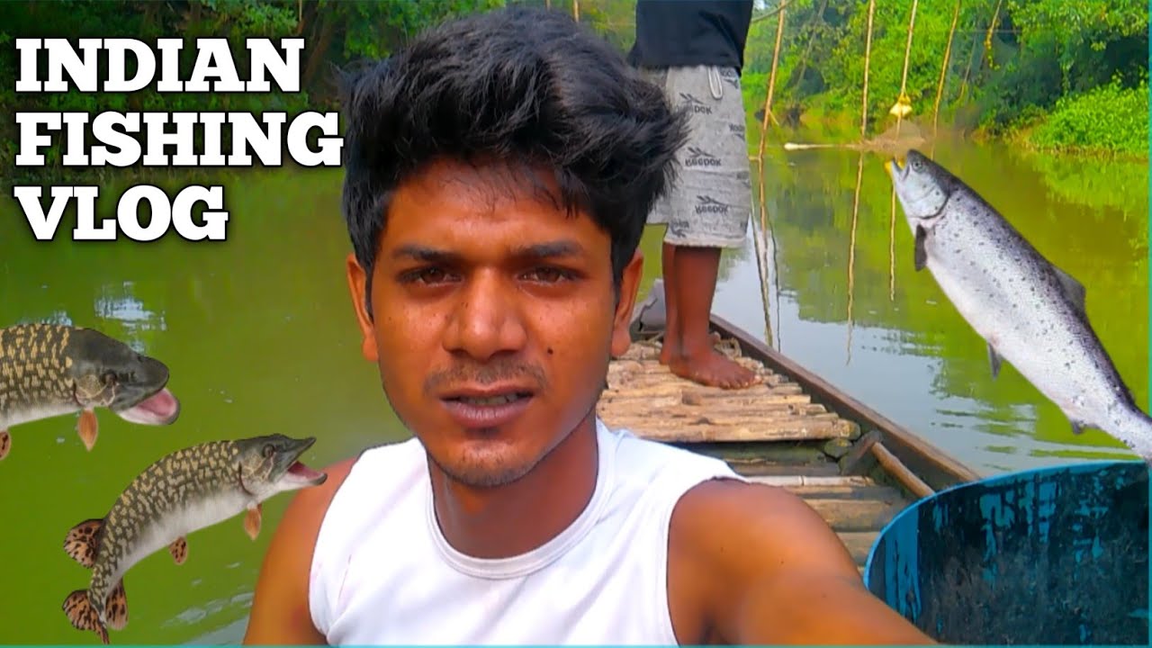 দারুন মাছ ধরা।mach dhora video #fishingtechniques #fish