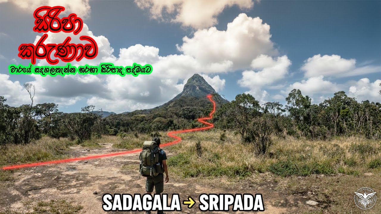 වාරයේ සිරිපා කරුණාව | Sri Padaya | Sadagalathenna Sri Padaya Trail 