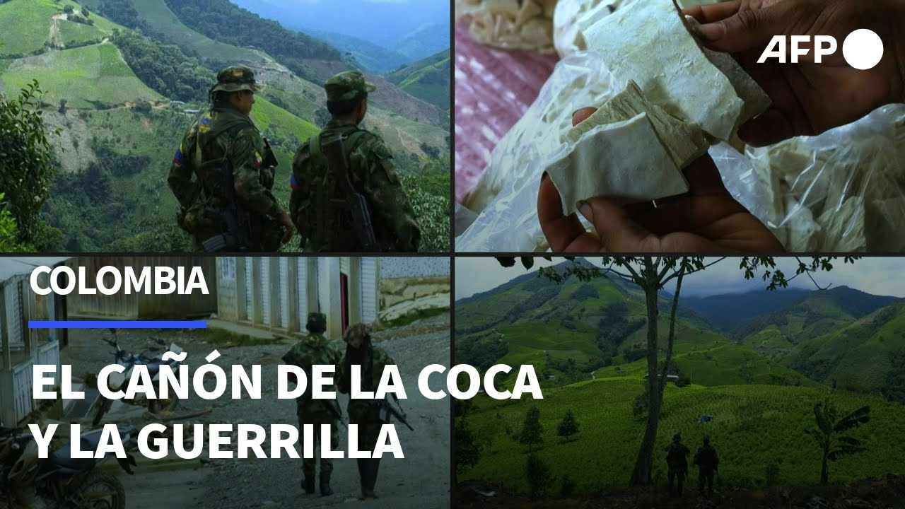 En Colombia, el ca&ntilde;&oacute;n de la guerrilla y la coca | AFP