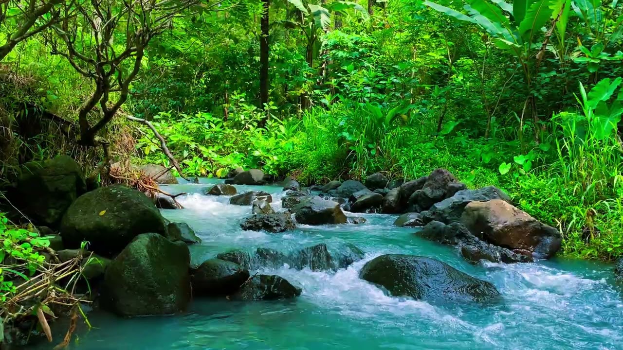 [ 4K UHD ] 1 Hour of Tranquil Green River ASMR on a Journey into the Wild For Sleep,Study and Calm 🎧