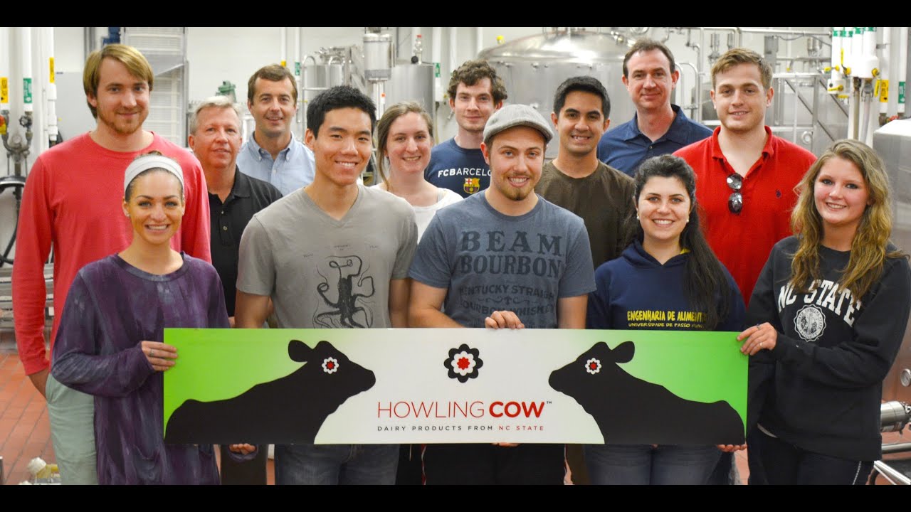 Milk Crate Washing Process Overview