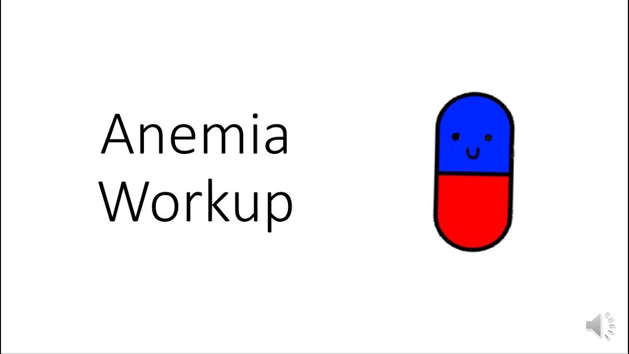 Anemia Workup Algorithm Hospital Medicine