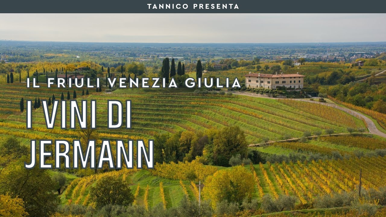 I vini di Jermann e il successo degli IGT | Tannico Flying School
