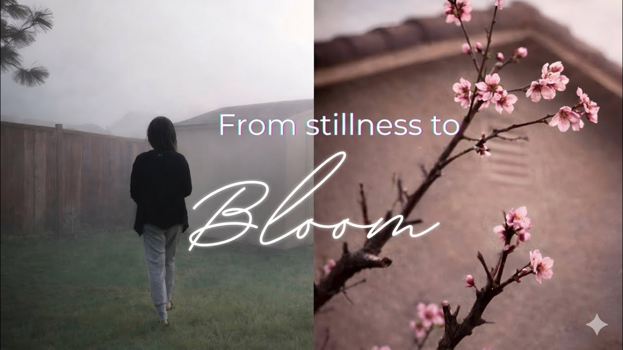 Спокойные туманные утра и медленные признаки весны в нашем дворе | Медленная жизнь