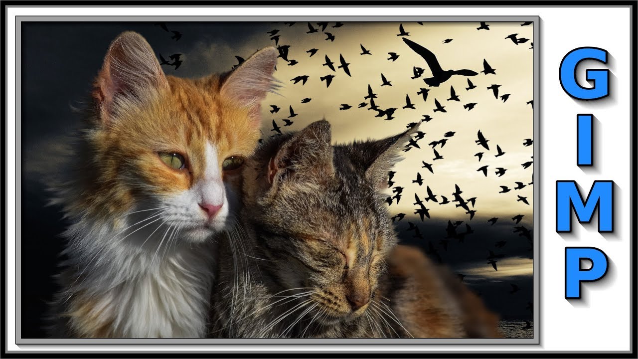 Gimp: Cut Out a Furry Object or Short Hair