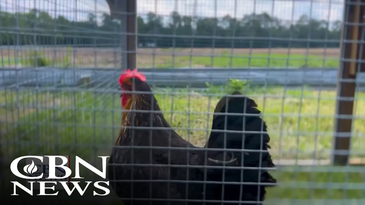 Restoring America's Soil: How Regenerative Farmers are Transforming Agriculture