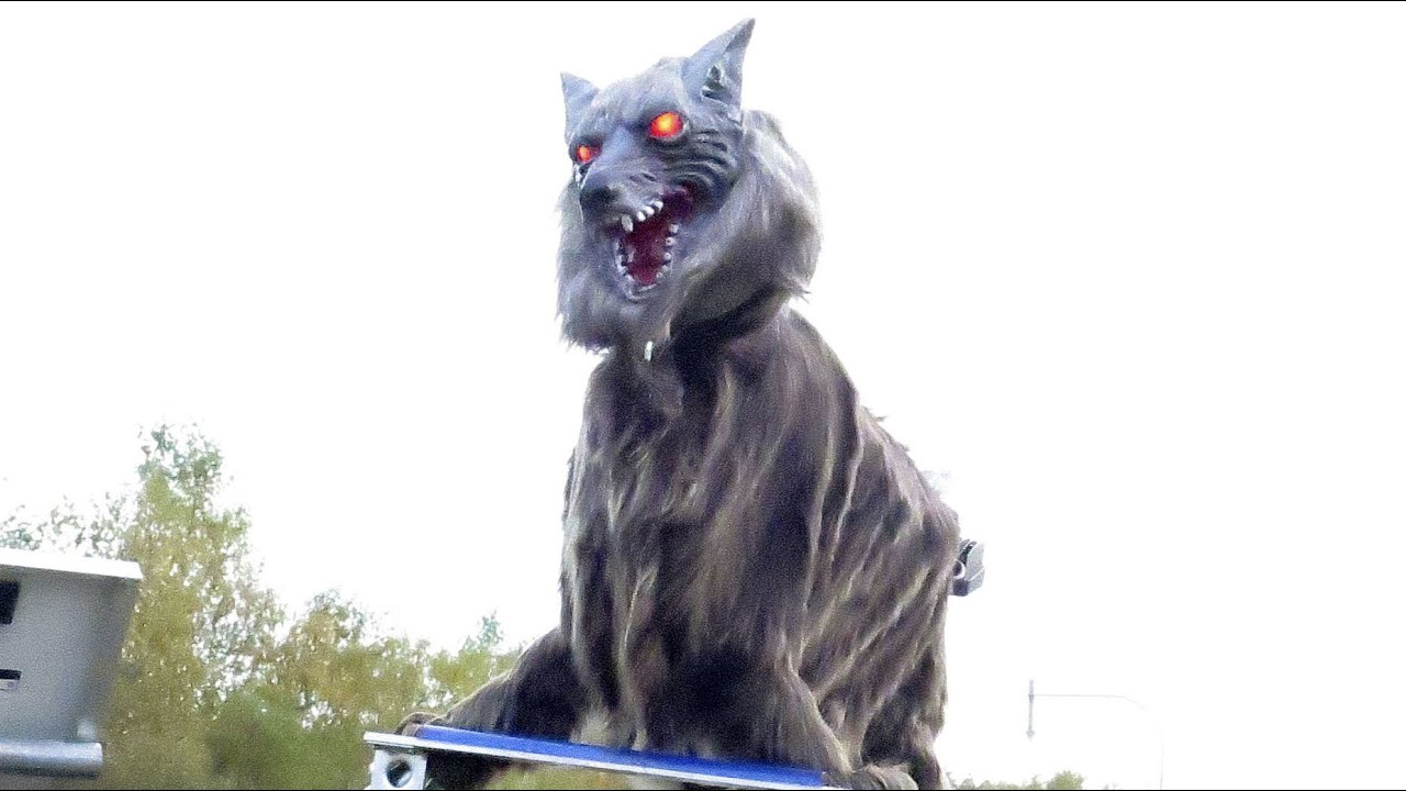 Robot &lsquo;monster wolf&rsquo; sees off Japan&rsquo;s aggressive bears