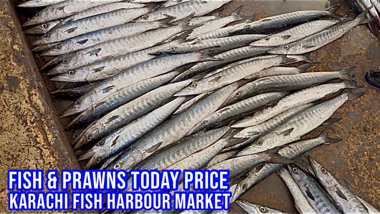 FISH & PRAWNS TODAY PRICE KARACHI FISH HARBOUR MARKET February 22, 2026
