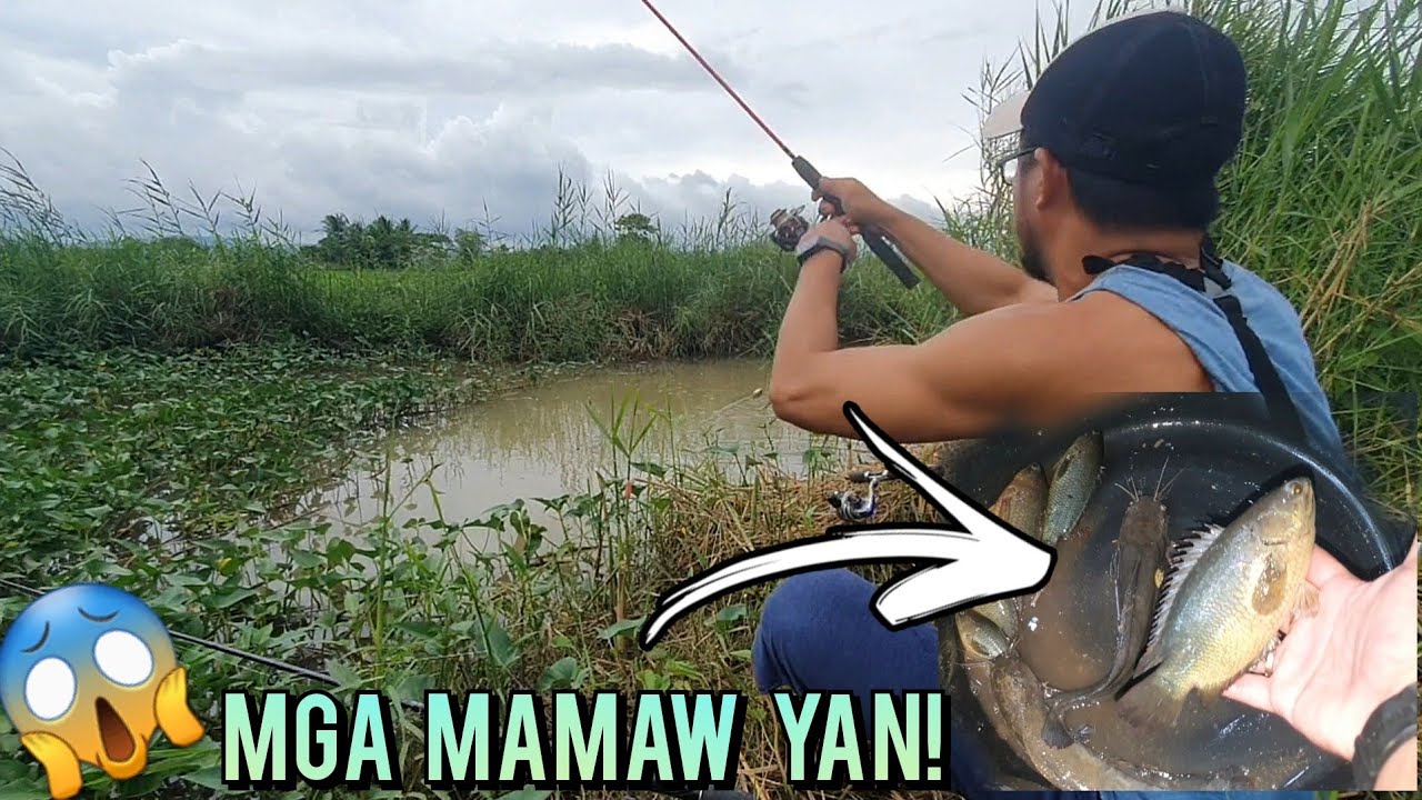 ANG SARAP NITO! PINAKA MALAKING NAHULI KO NA ISDANG GANITO | BUHAY PROBINSYA
