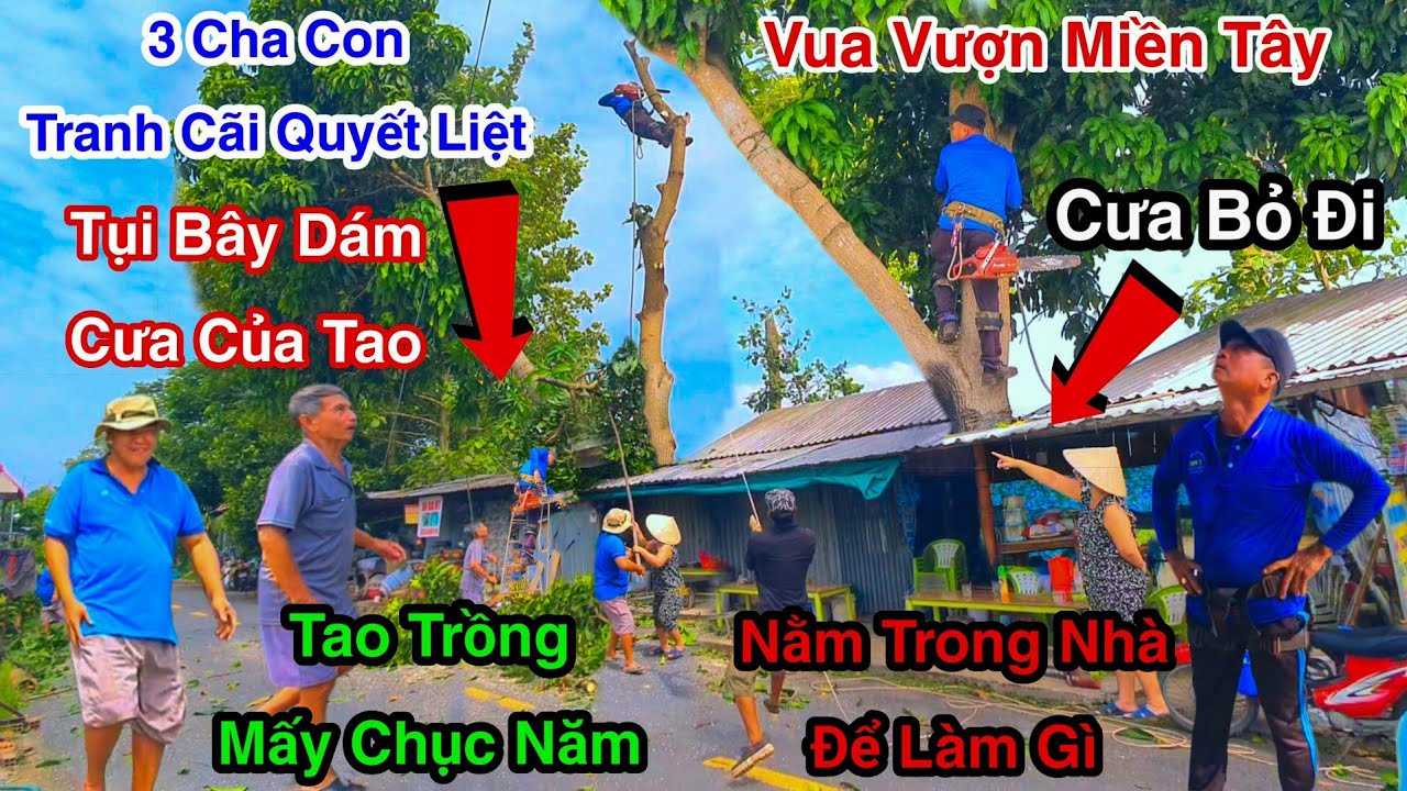 Chuyện Gì Đã Xảy Ra Ba Cha Con Tranh Cãi Quyết Liệt Khi Vua Vượn Cưa Cây Xoài Trên Nóc Nhà 