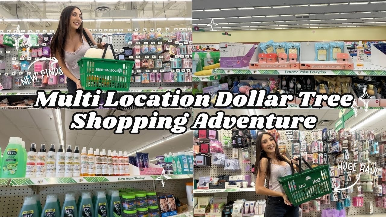 Multi Location DOLLAR TREE Shopping Spree | 6 Locations, NEW Beauty Finds & HUGE $100+ Haul