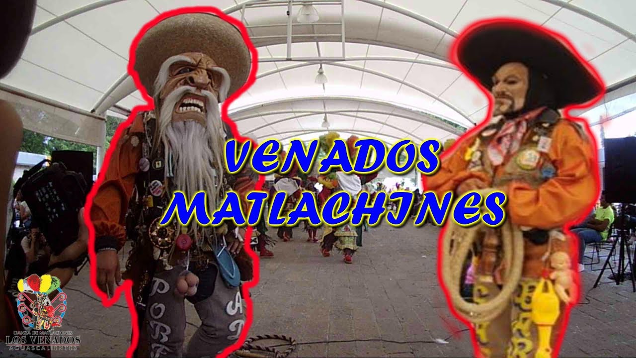 ♛ Matlachines 