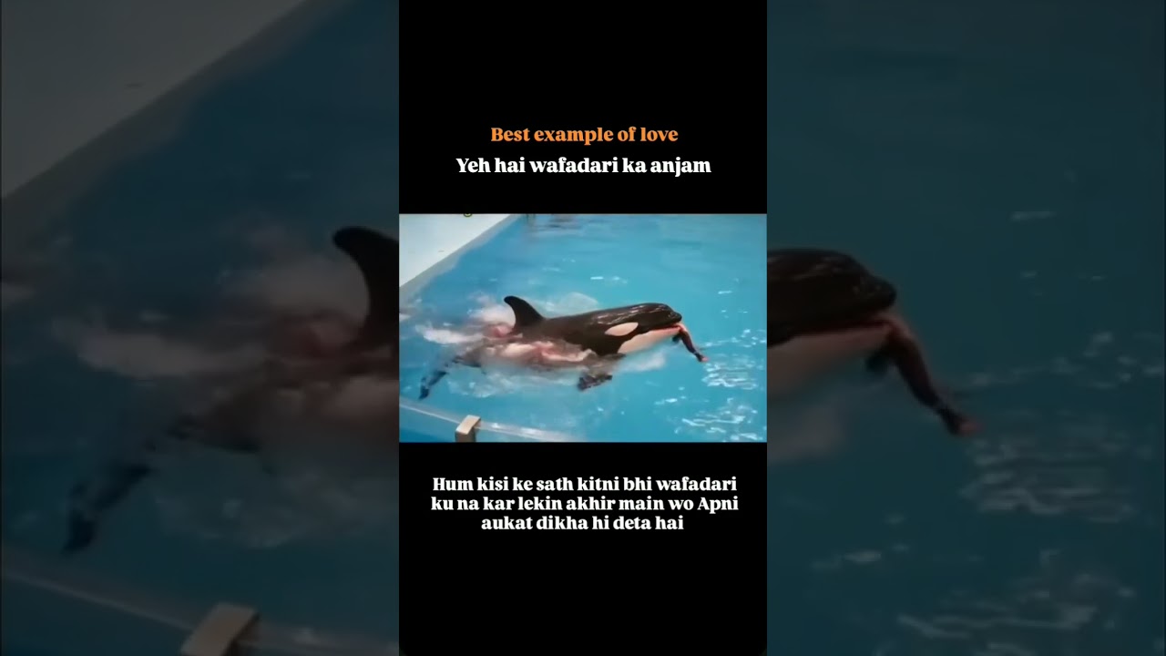 😭 jessica viral video 😭#cute #explore #indonesia #funnyshorts #funnyclips #shortvideo #viralvideos