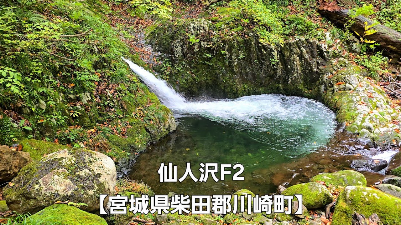 仙人沢F2【宮城県柴田郡川崎町】Senninsawa F2 [Kawasaki Town, Shibata District, Miyagi Prefecture] 