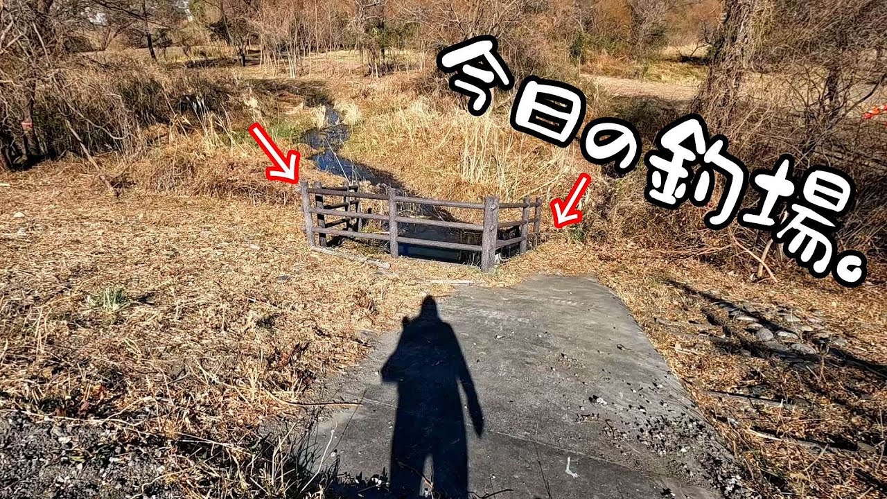 女ひとり小物釣り。こんな溜まりでキラリッ！
