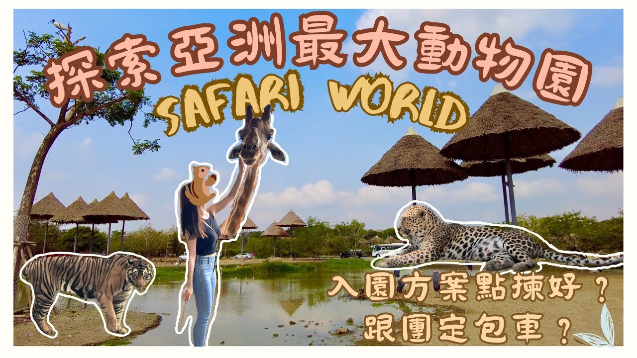 【泰國曼谷🇹🇭EP06】🦒🐘🦧曼谷必去動物園 Safari World Bangkok｜入園方案詳細比較📝📝跟團🆚包車｜ 💡遊動物園小貼士｜瞬間穿越大草原🦓🐅餵長頸鹿🦒