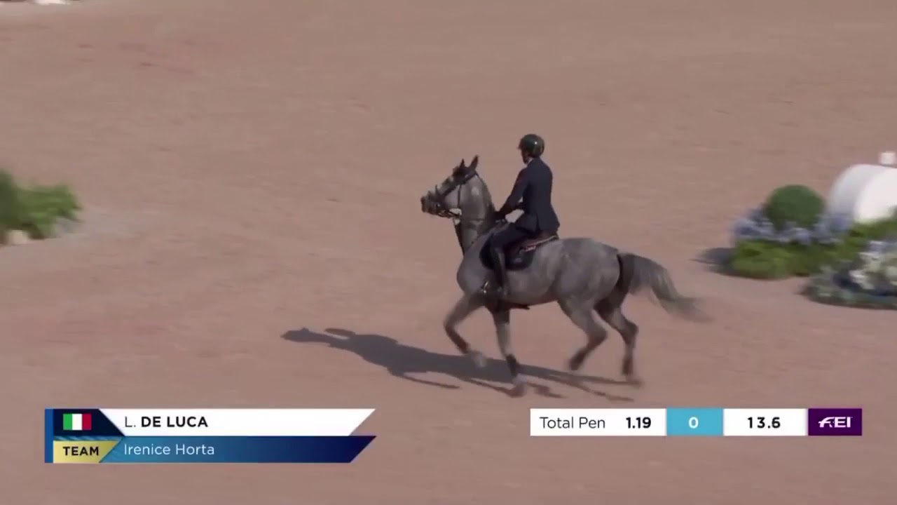 WEG 2018 - FANTASTICO LORENZO, by UCIF