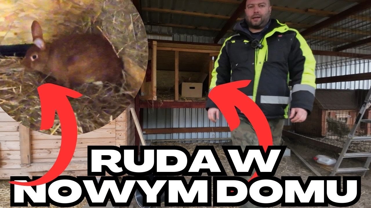 Klatka dla królików gotowa