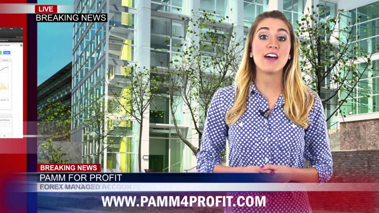 PAMM Management for you