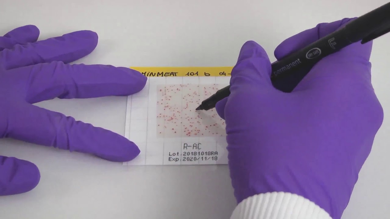 How to use Color-coded MC-Media Pads&reg; for your rapid routine testing of microbial contamination?