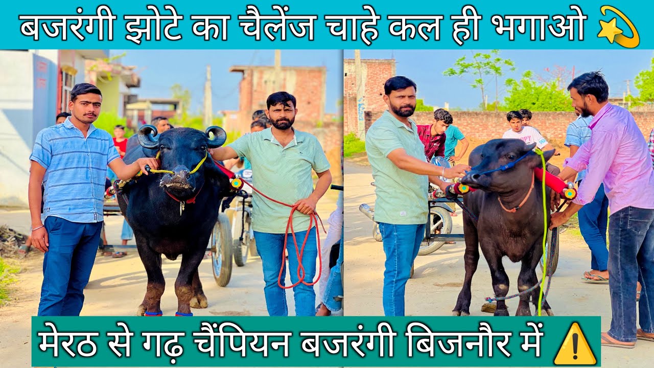 गढ़ गंगा चार बार चैंपियन अब बिजनौर जिले के मलेशिया गांव मैं #up20katralover 
