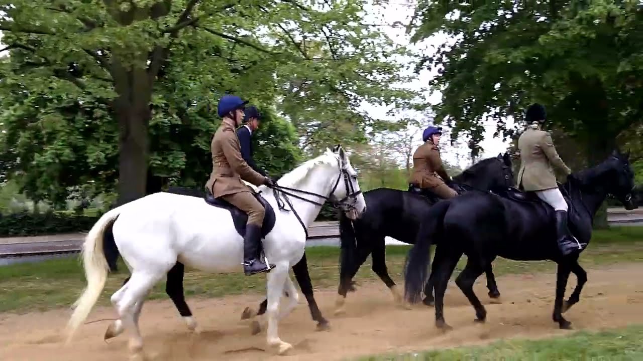 Horse guards riding in Hyde Park / Hyde Park Horse Riding
