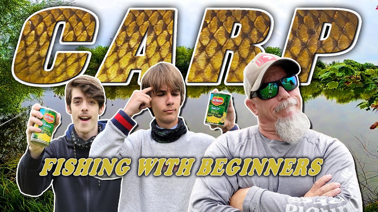 How to Carp Fishing for Beginners