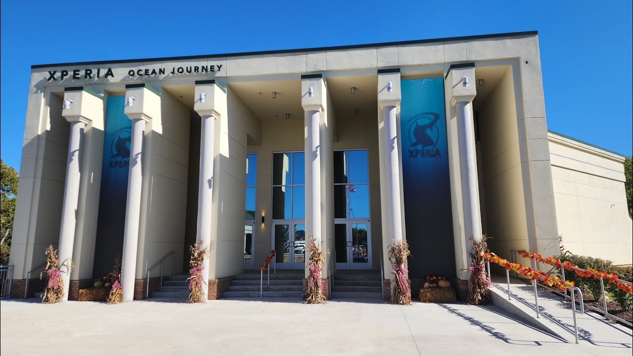 Xperia: экскурсия по Ocean Journey и первое посещение для детей