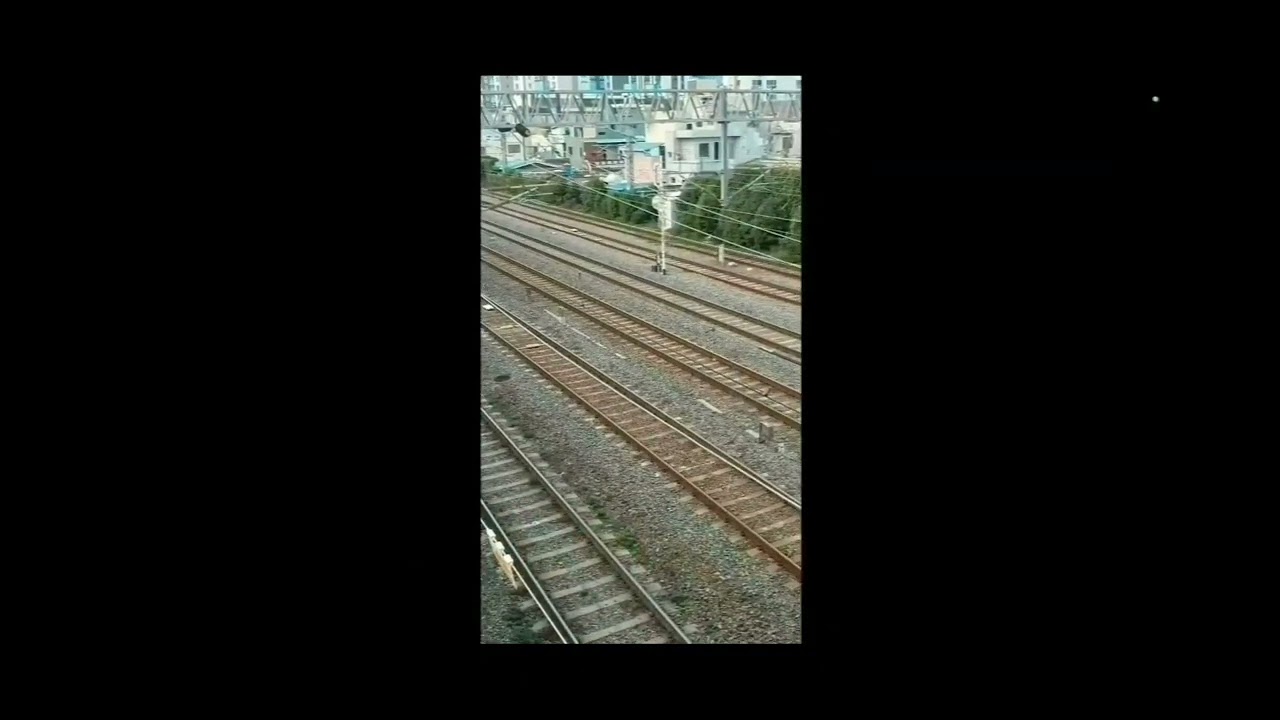 코래일