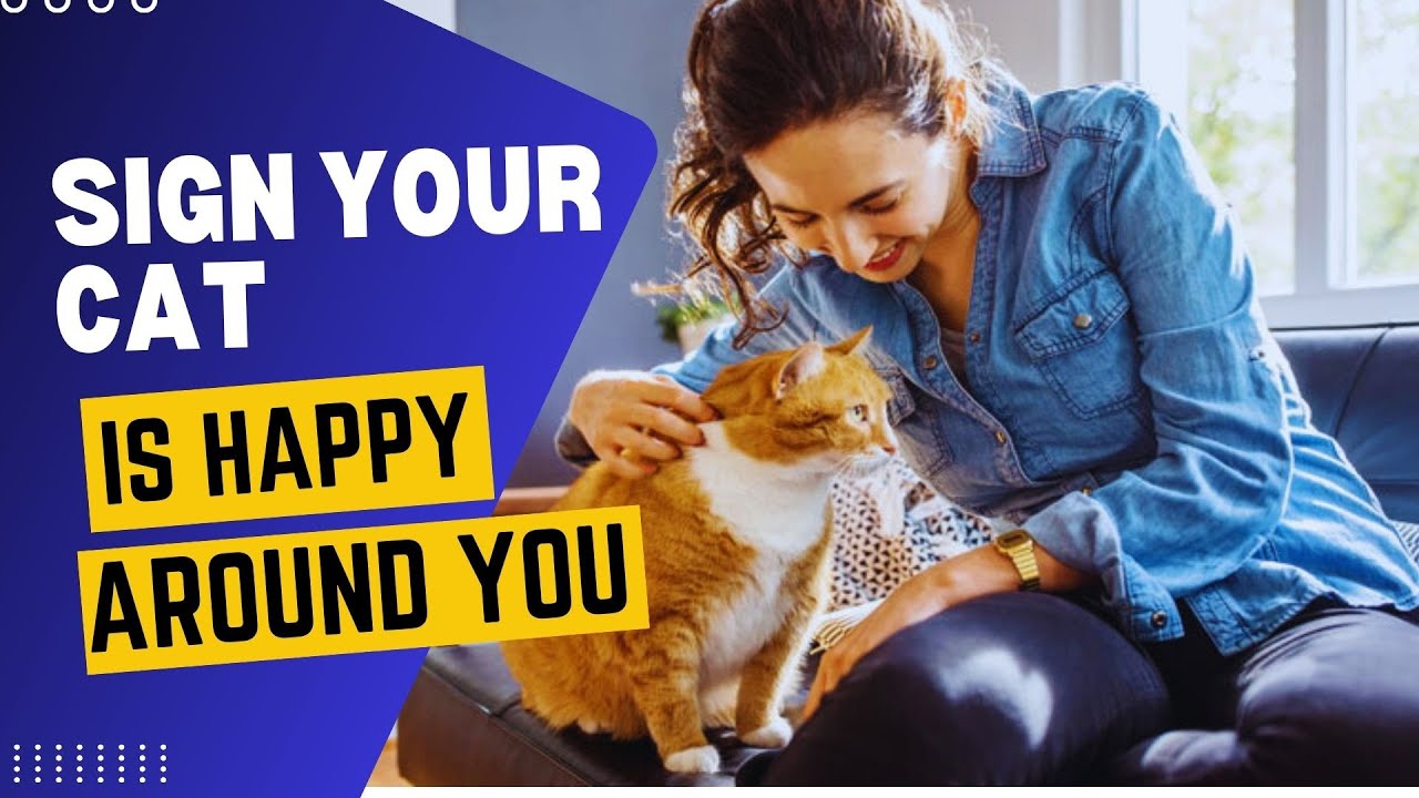 10 Signs Your Cat Feels Safe Around You