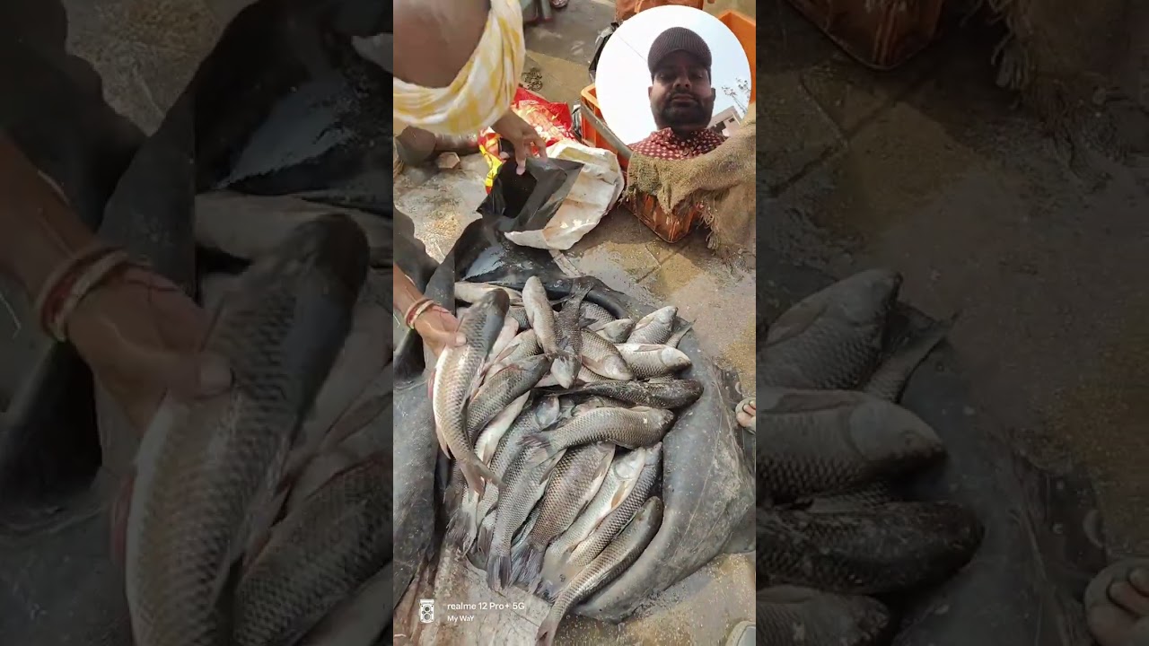 Exploring the Fish Market | Sunday Vlog & Seafood Shopping
