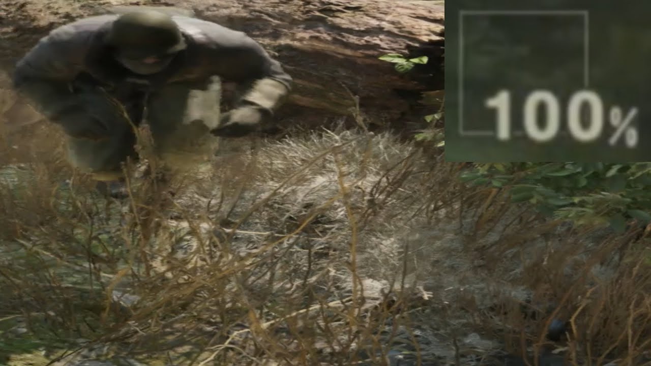 Thoughts on Fox Hunt after 20 hours